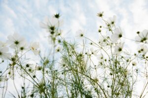 A Deep Spring Clean For Your Workplace